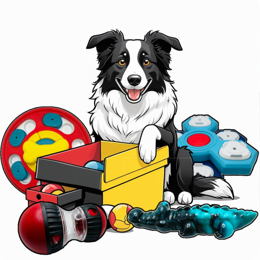 End Dog Boredom Today – Fun Toys They’ll Love!