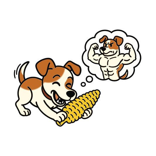 Tough Dog Toys for Stronger Pets