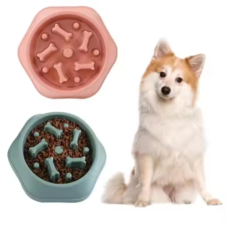 Dog Essentials Combo – Slow Feeders & Chew Toys
