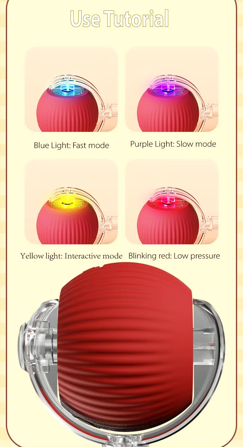 Vibrating Bouncing Ball – Interactive Toy for Cats & Dogs