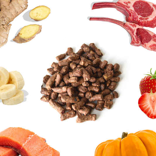 Lamb & Salmon Meal Bites for Dogs