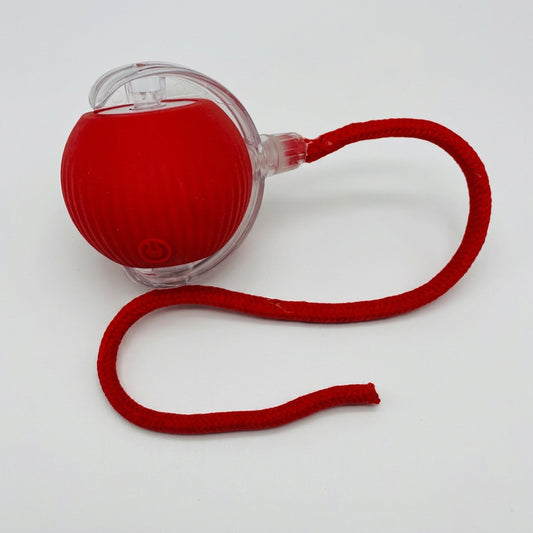 Vibrating Bouncing Ball Toy with tail for cats and dogs