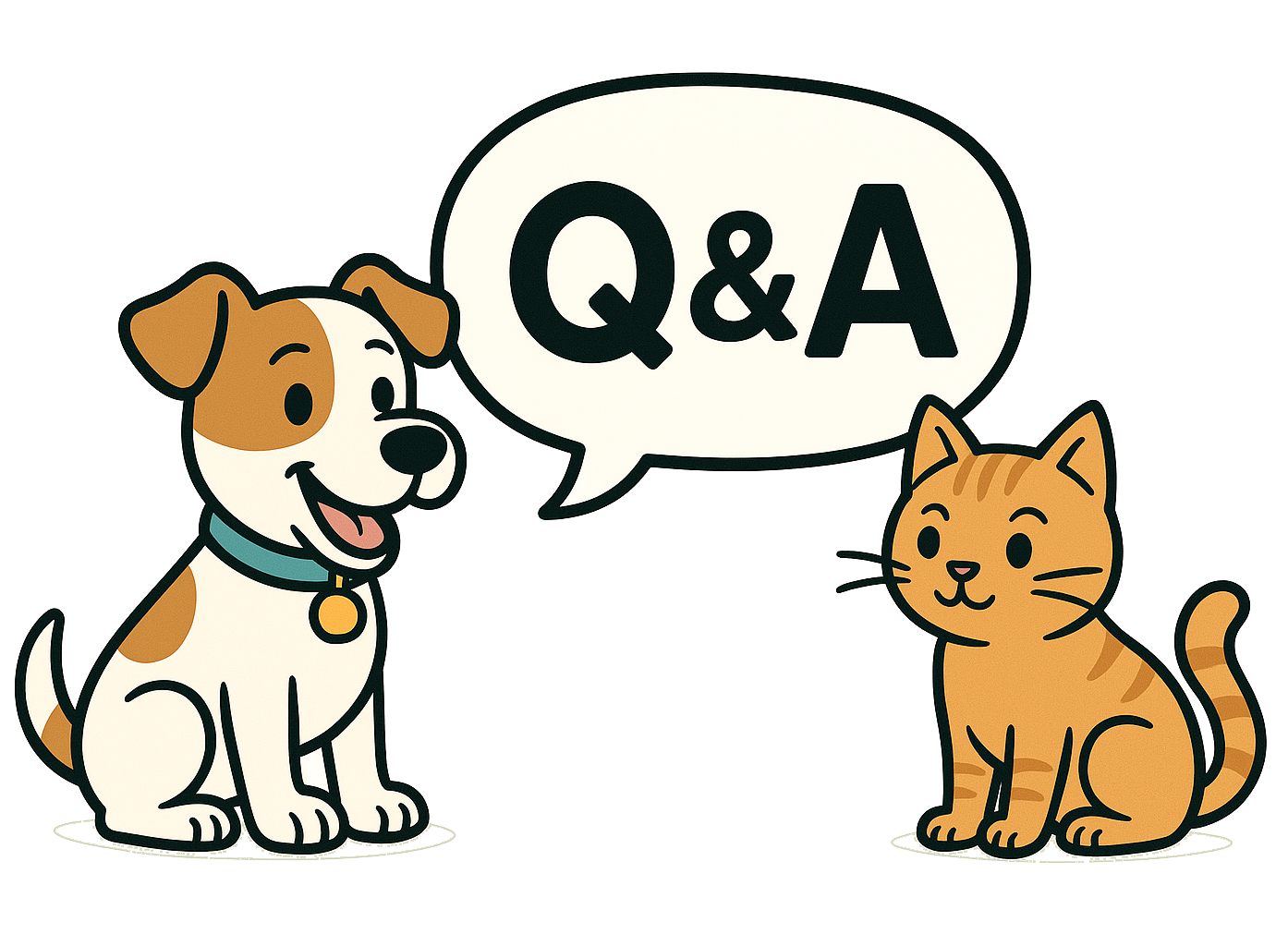 Q&A Petsun Pet store