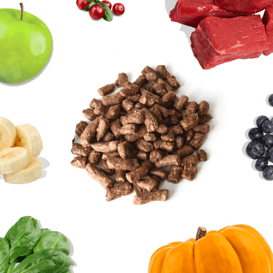 Beef Meal Bites – Gut-Supporting Freeze-Dried Dog Food