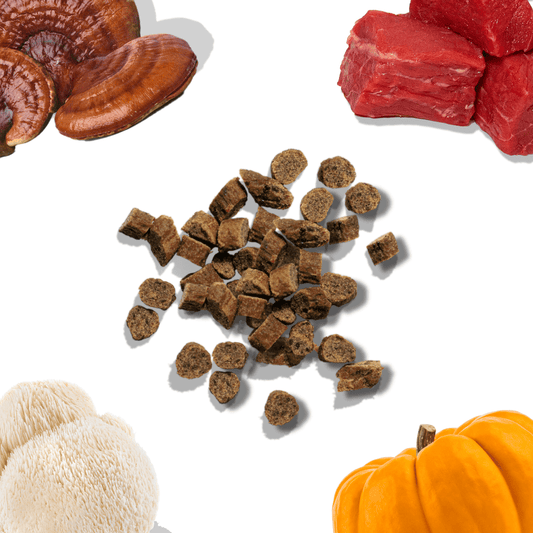 Beef Mini Training Treats for Dogs