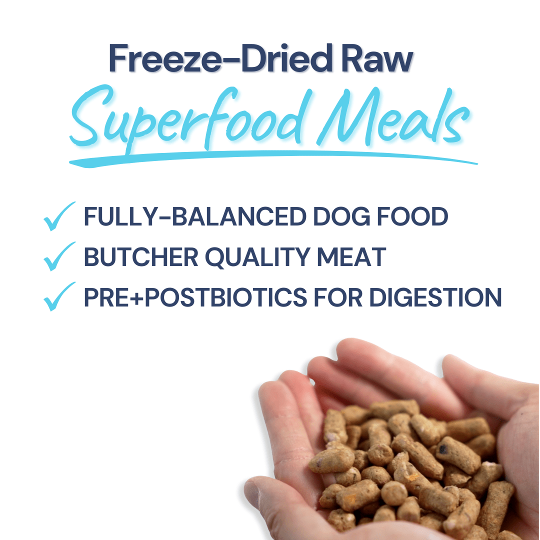 Turkey Meal Bites – Gut-Supporting Freeze-Dried Nutrition for Dogs