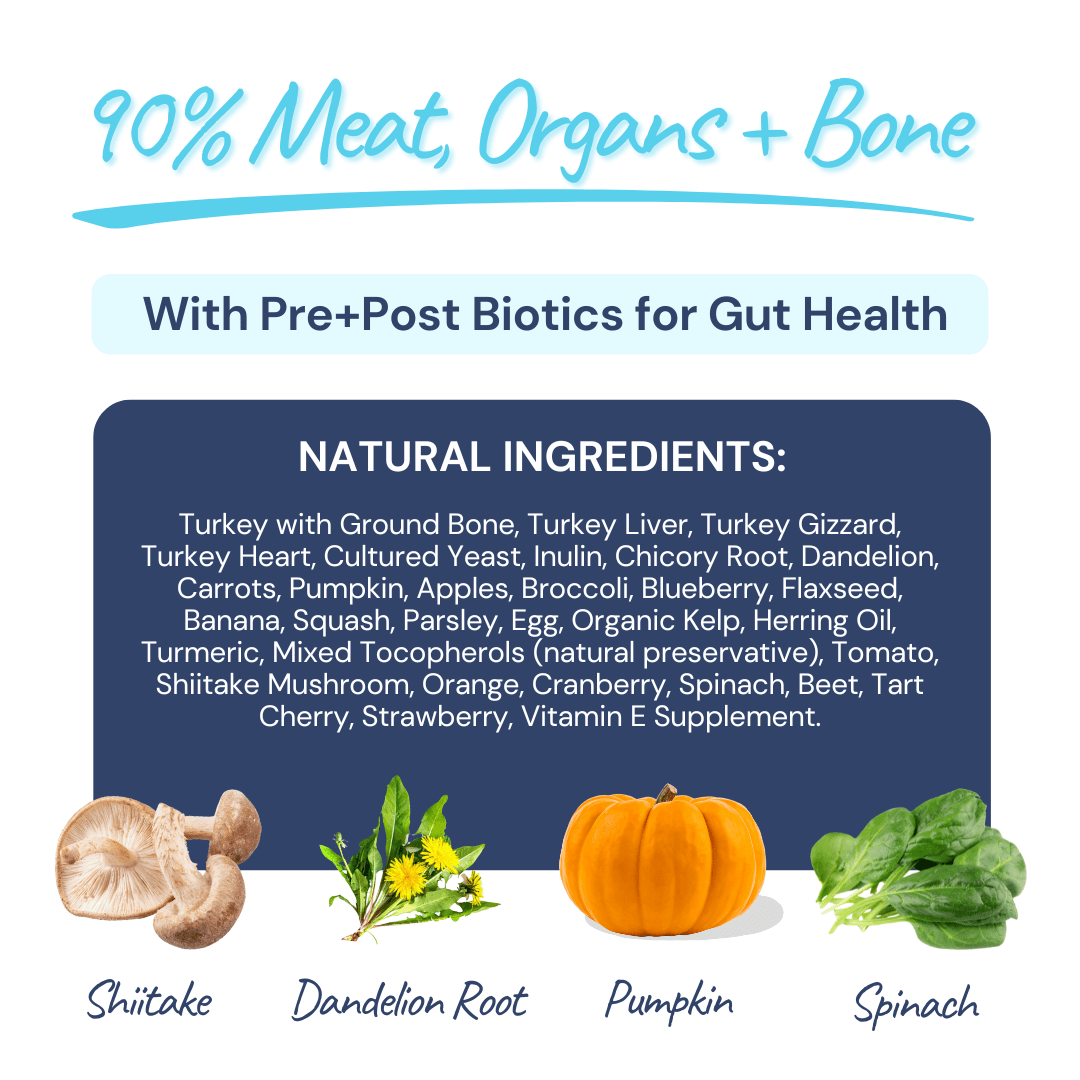 Turkey Meal Bites – Gut-Supporting Freeze-Dried Nutrition for Dogs