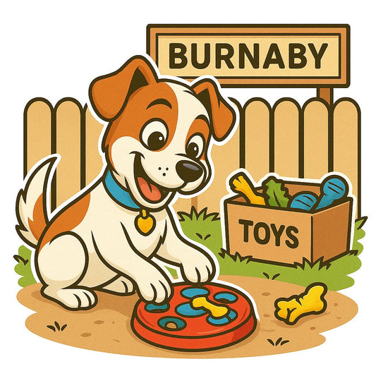 Dog Enrichment Toys in Burnaby