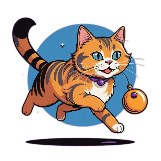 Cat Essentials Interactive Toys Combo