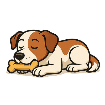 Chew Toys for Stress Relief