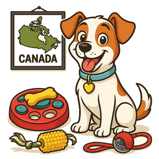 Enrichment Dogs in Canada