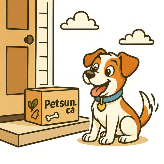 Best Online Pet Store in Vancouver