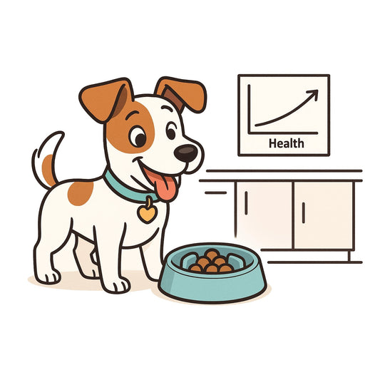 A Dog using a puzzle slow feeder dog bowl to boost health in Canada and USA
