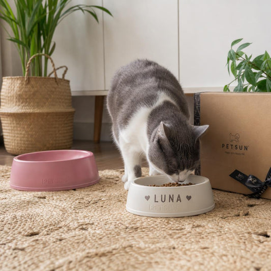 Custom bowls gift ideas for dogs and cats with personalized slow feeders and puzzle feeders