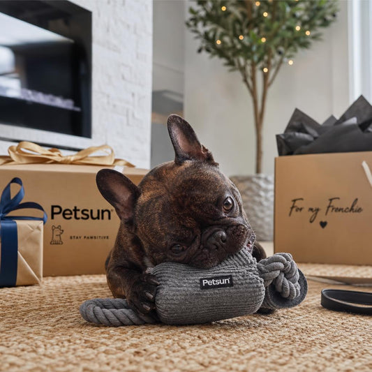 French Bulldog enjoying a personalized slow feeder bowl as a thoughtful custom dog gift