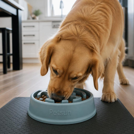 Personalized slow feeder bowl for a fast eating golden retriever dog in a Canadian home