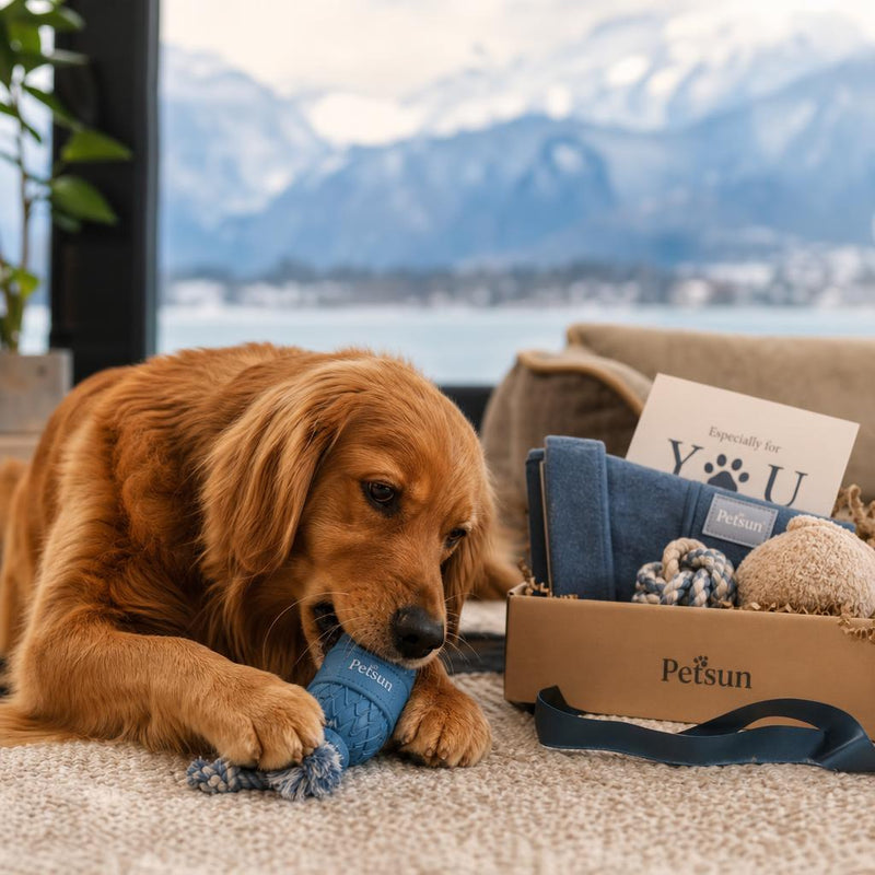 Personalized dog slow feeder bowl gift for British Columbia dog owners