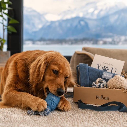 Personalized dog slow feeder bowl gift for British Columbia dog owners