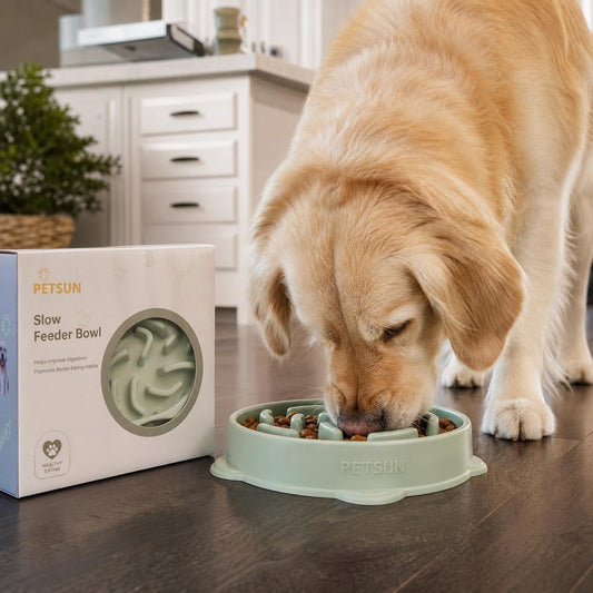 Personalized slow feeder bowl gift idea for a fast eating dog at mealtime