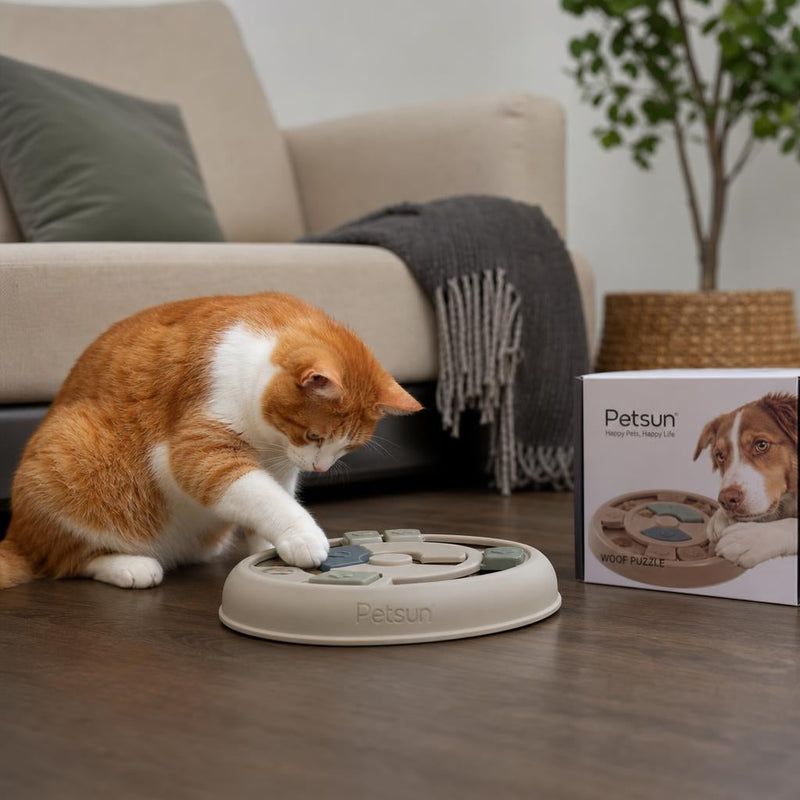 Dog and cat using puzzle feeders and slow feeder bowls in a cozy Vancouver home