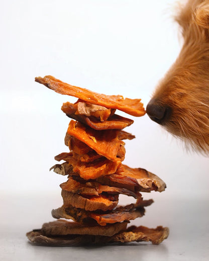 Sweet Potato Chews – Long-Lasting Vegetarian Dog Treat