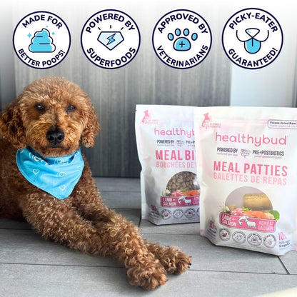 Lamb & Salmon Meal Bites for Dogs