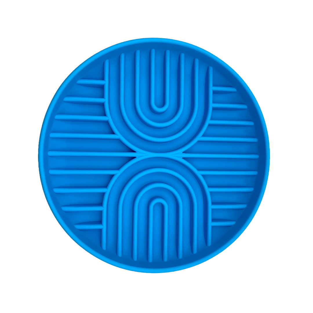 Rainbow Lick Bowl for Dogs and Cats