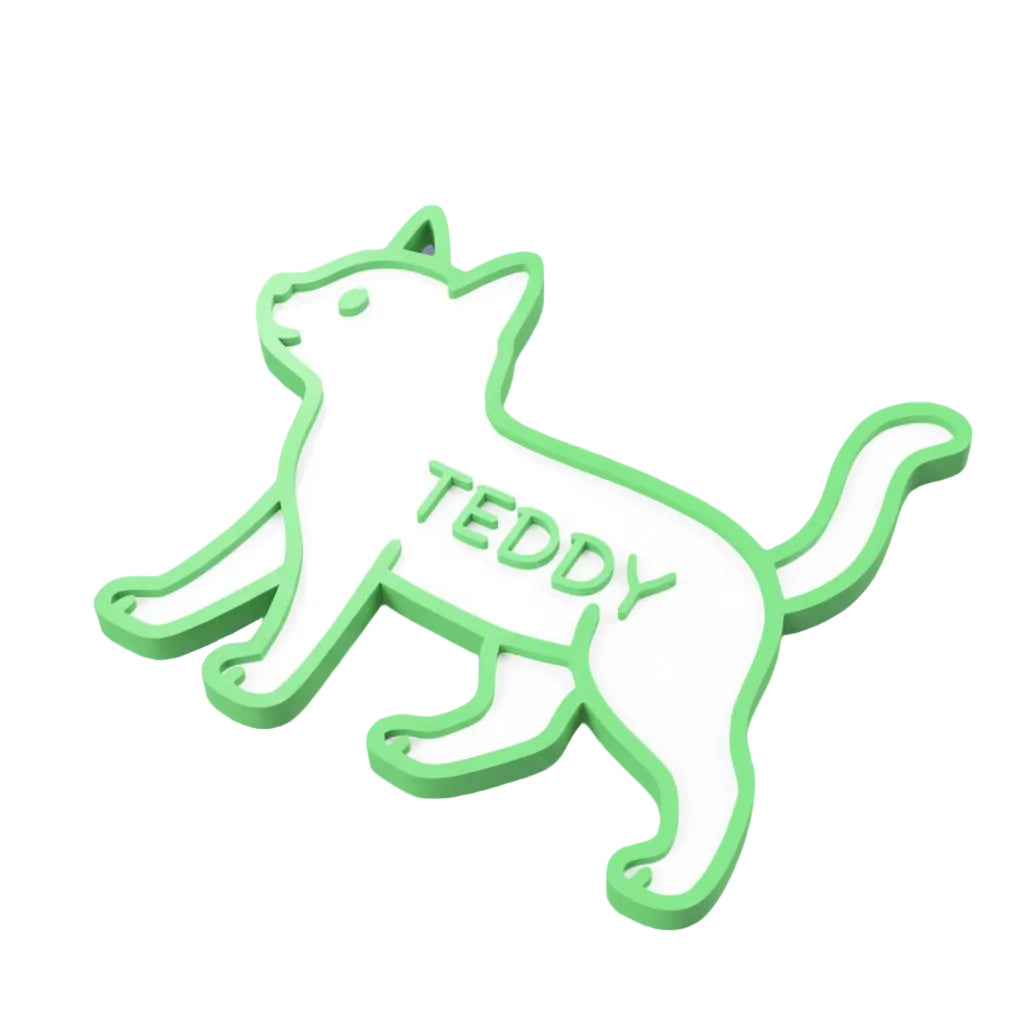 Green and white cat-shaped name tag with 'TEDDY' on a it
