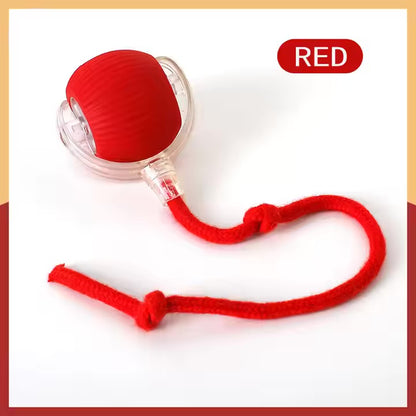 Dog Essentials Combo – Slow Feeders & Chew Toys