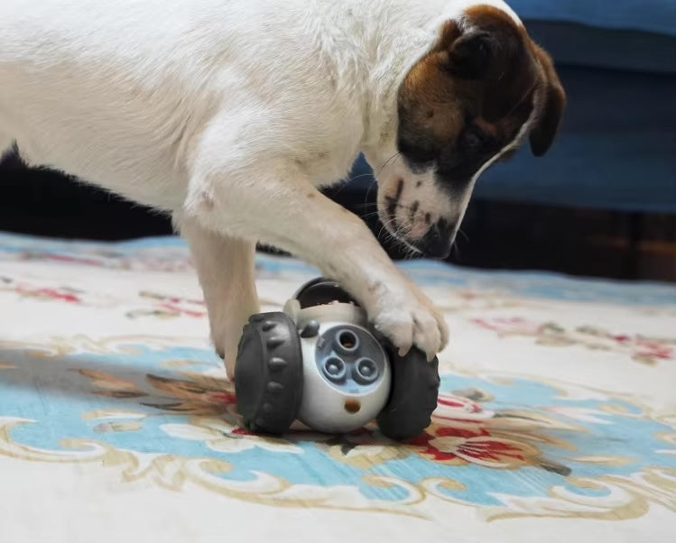 Dog pawing at the black Robot Slow Feeder & Treat Dispenser Toy on a rug