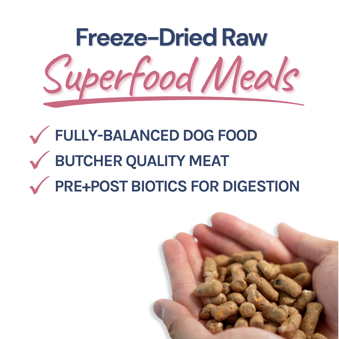 Lamb & Salmon Meal Bites for Dogs