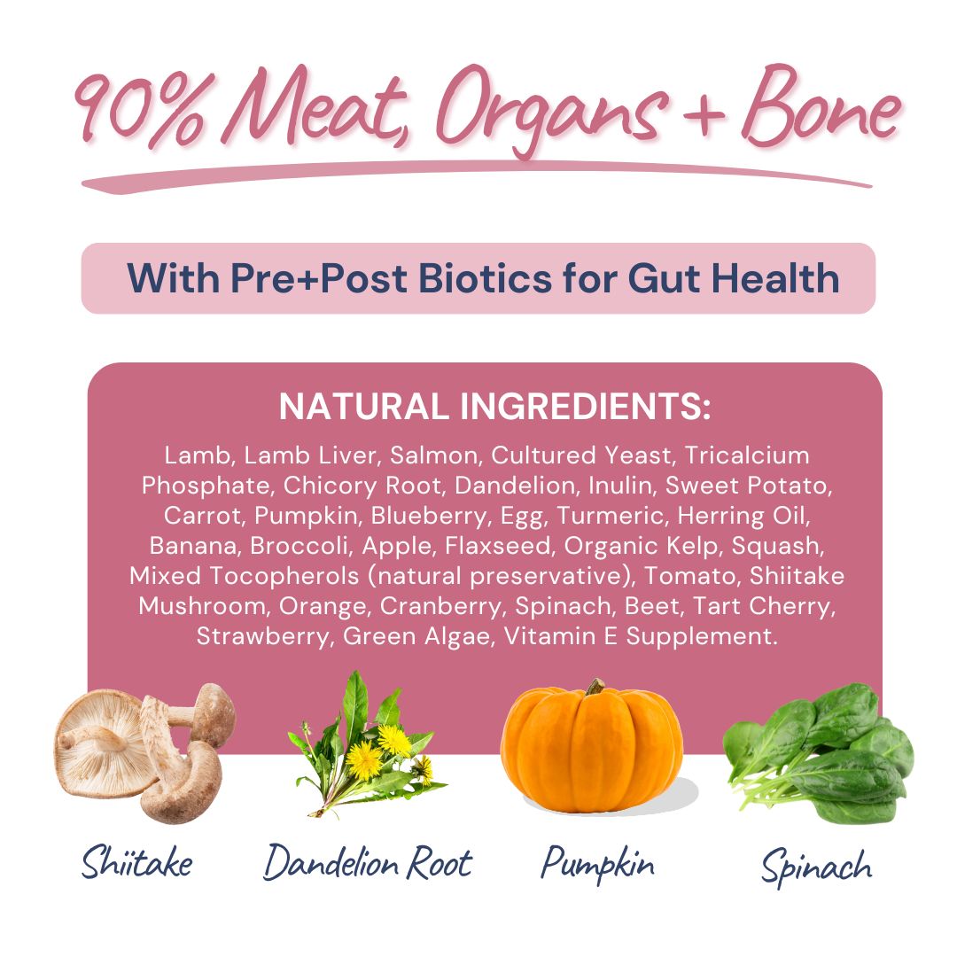 Lamb & Salmon Meal Bites for Dogs