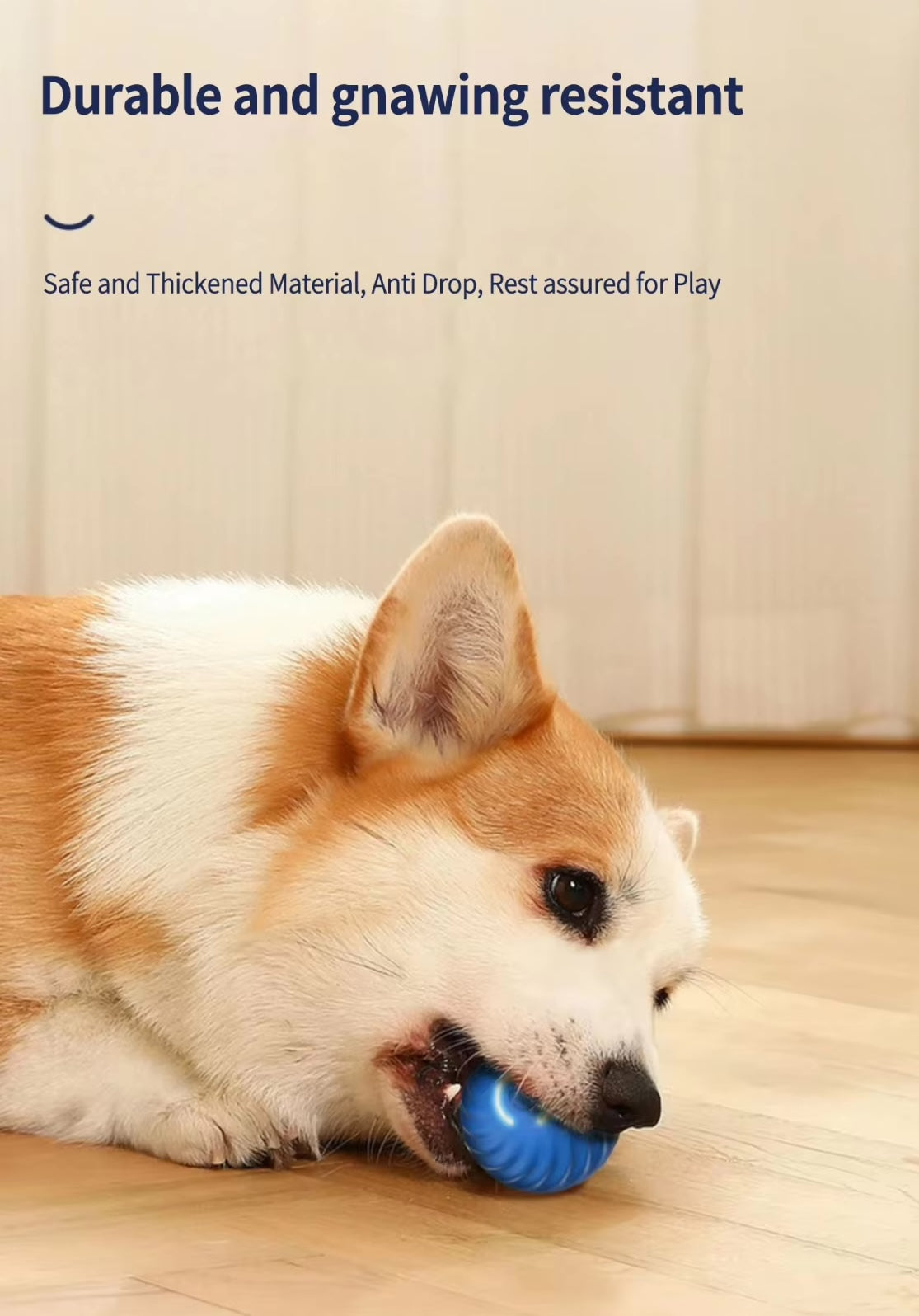 Corgi chewing the blue USB Vibrating Ball Toy, a gnaw-resistant ball for dogs