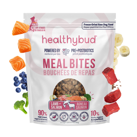 Lamb & Salmon Meal Bites for Dogs