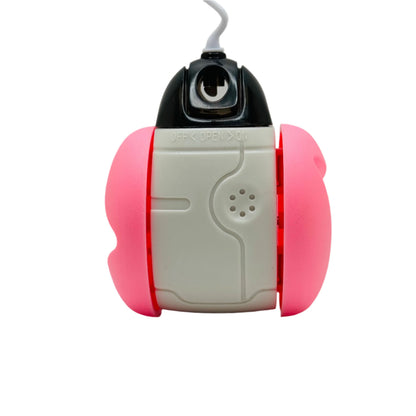 Pet Interactive Wobble Squeaky Toy for cats and dogs