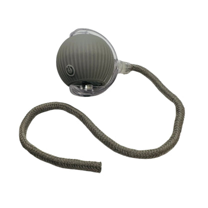 Grey Vibrating Bouncing Ball Toy with a grey rope tail on a white background