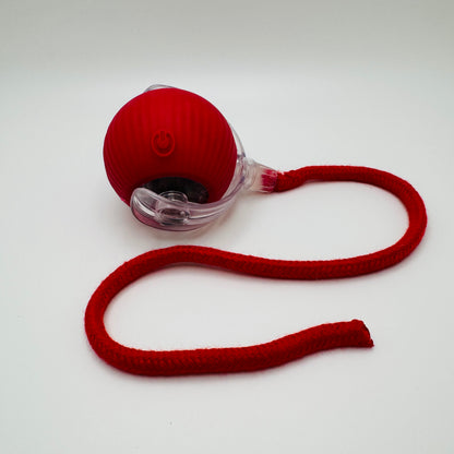 Red Vibrating Bouncing Ball Toy with a red rope tail, top view