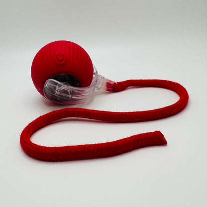 Red Vibrating Bouncing Ball Toy with a red rope tail on a white background