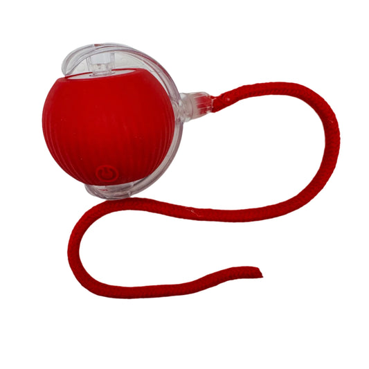 Vibrating Bouncing Ball Toy with tail for cats and dogs
