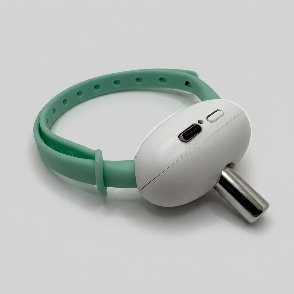 Laser Collar Toy for cats