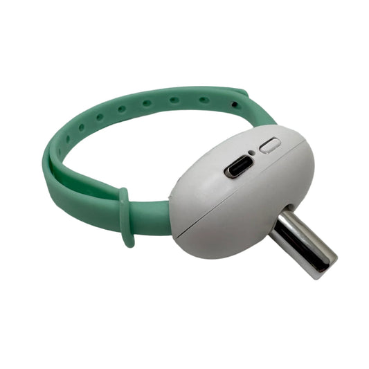 Laser Collar Toy for cats