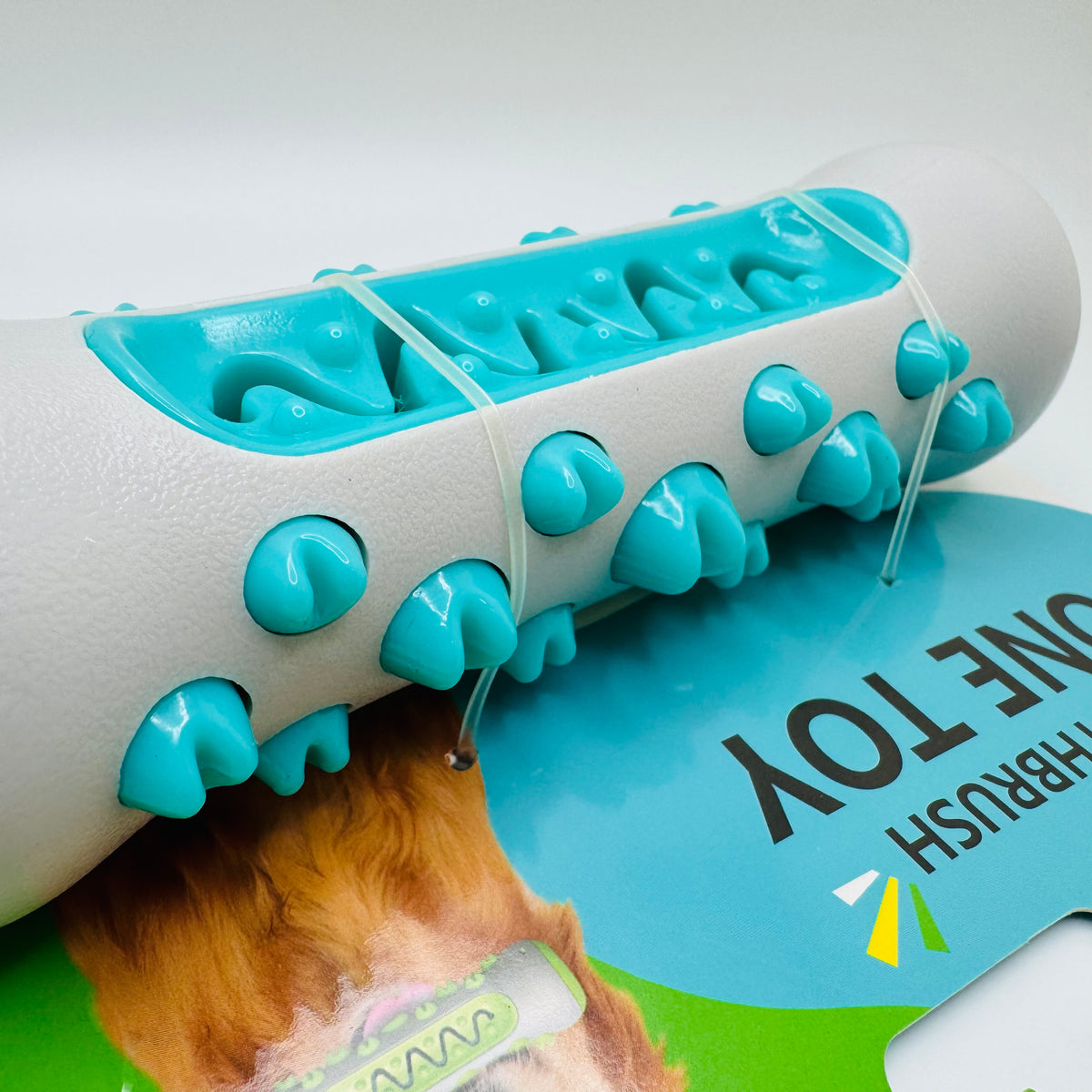 Molar Chew and Dental Toy for dogs