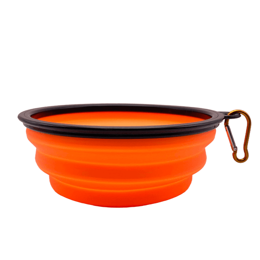 Collapsible Travel Bowl for Dogs and Cats – Portable, BPA-Free, Eco-Friendly