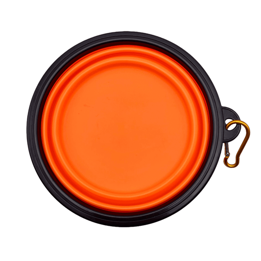 Collapsible Travel Bowl for Dogs and Cats – Portable, BPA-Free, Eco-Friendly