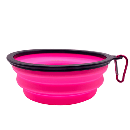Collapsible Travel Bowl for Dogs and Cats – Portable, BPA-Free, Eco-Friendly
