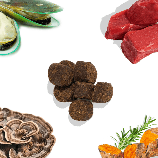 Beef Joint Booster – Mobility & Joint Support Chews