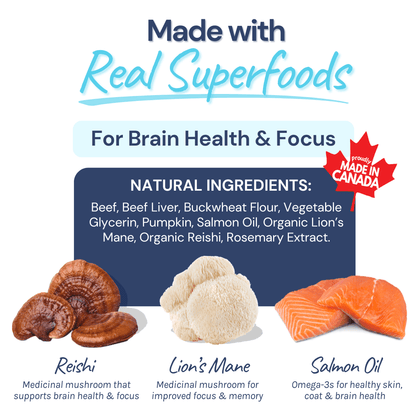 Beef Mini Training Treats for Dogs
