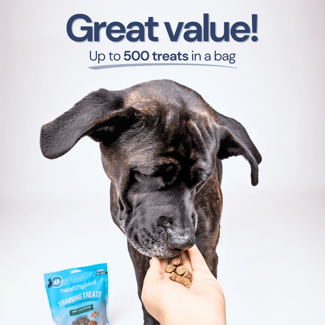 Beef Mini Training Treats for Dogs