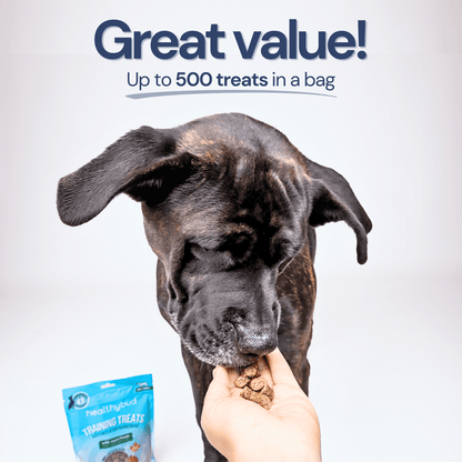 Beef Mini Training Treats for Dogs