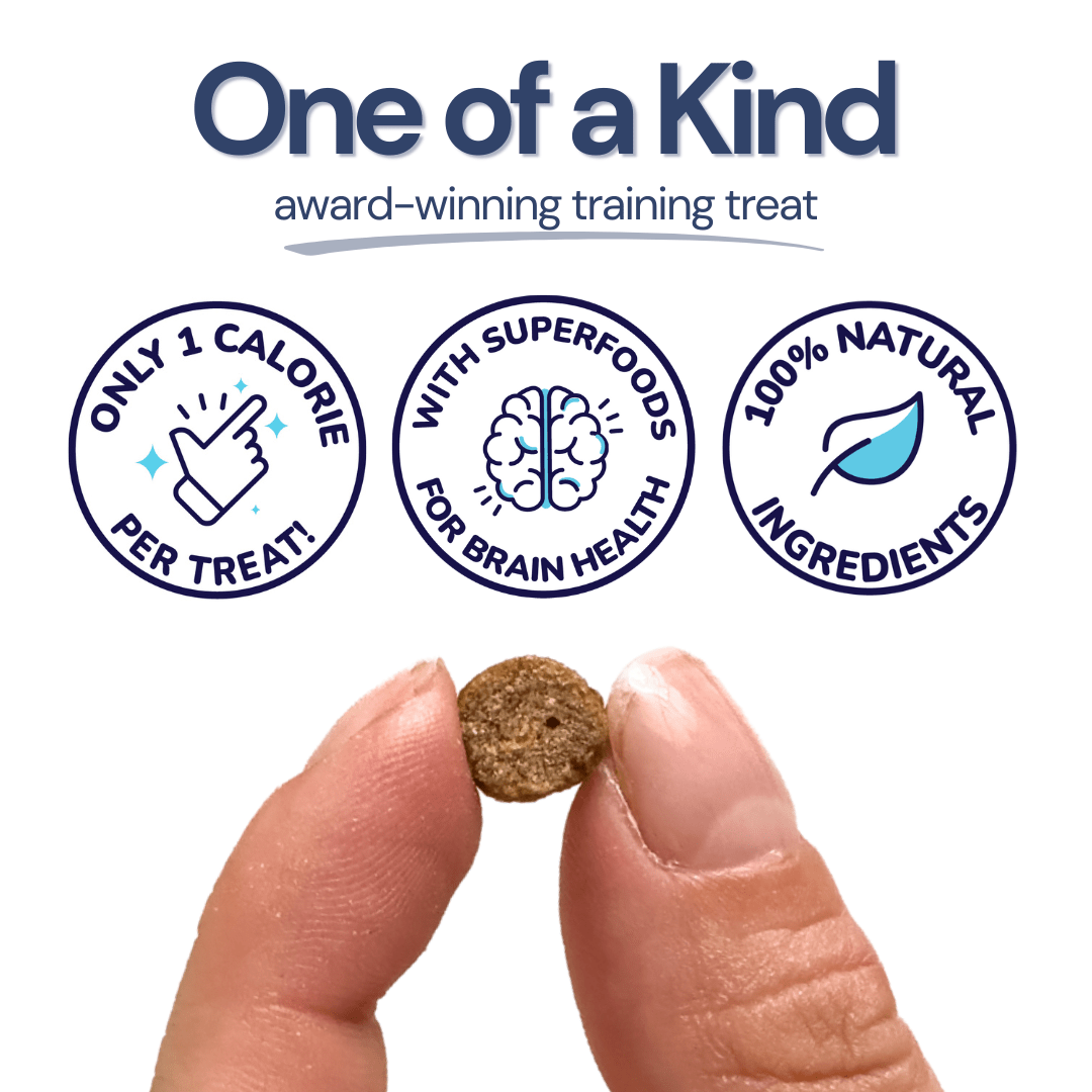 Beef Mini Training Treats for Dogs